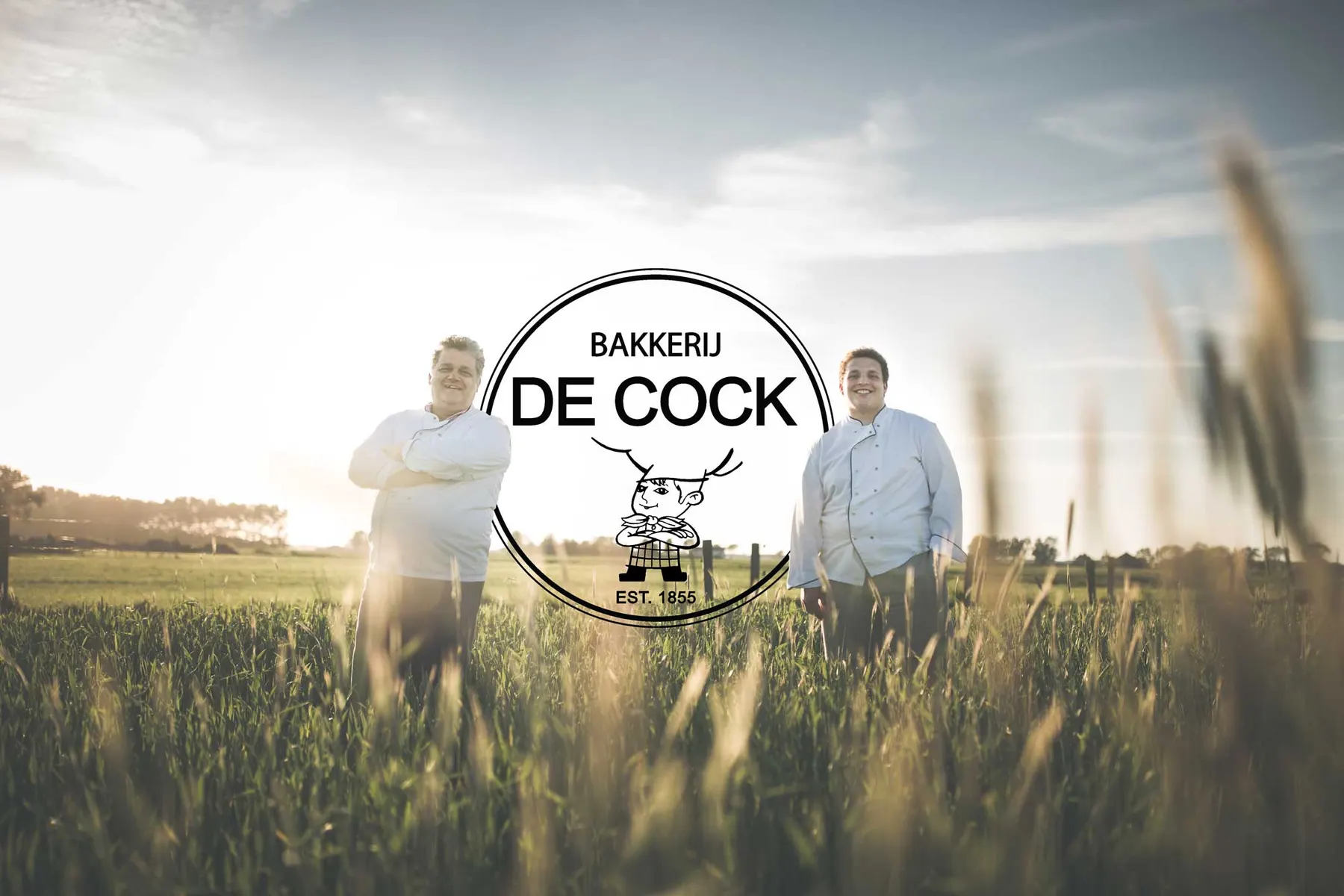 De bakkers van Bakkerij De Cock in hun graanveld bij zonsondergang